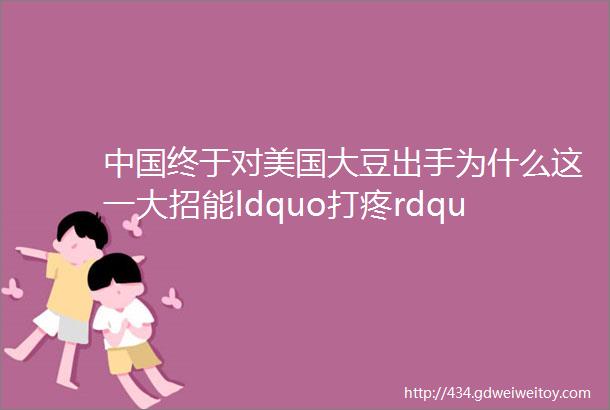 中国终于对美国大豆出手为什么这一大招能ldquo打疼rdquo美国